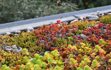 the cost of Nether Dallachy green roof installation