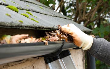 gutter cleaning Nether Dallachy, Moray