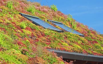 Nether Dallachy living roof systems