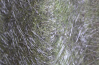 Nether Dallachy fibreglass roof work